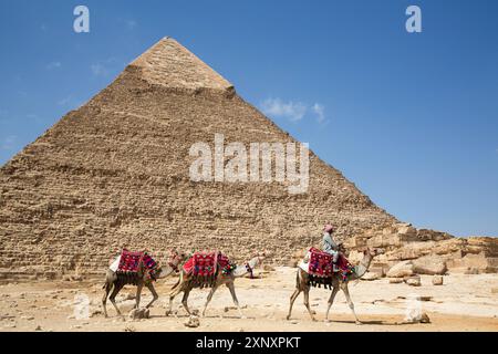 Mann mit Kamelen, Pyramide von Khafre Chephren im Hintergrund, Pyramidenkomplex von Gizeh, UNESCO-Weltkulturerbe, Gizeh, Ägypten, Nordafrika, Afrika Polizist Stockfoto