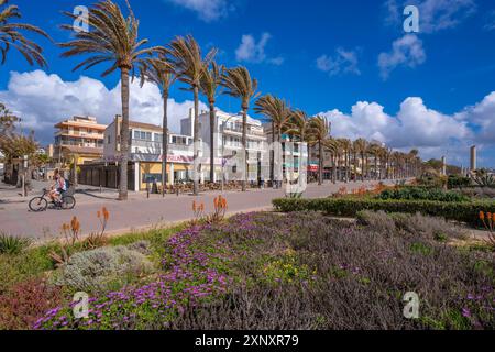 Blick auf Cafés und Bars in Playa de Palma, S Arenal, Palma, Mallorca, Balearen, Spanien, Mittelmeer, Europa Copyright: FrankxFell 844-34416 Stockfoto