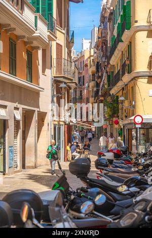 Blick auf Geschäfte und Shopper in engen Straßen, Palma de Mallorca, Mallorca, Balearen, Spanien, Mittelmeer, Europa Copyright: FrankxFell 844-3446 Stockfoto
