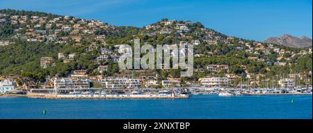 Blick auf Villen, Häuser und Apartments mit Blick auf den Yachthafen in Port d Andratx, Mallorca, Balearen, Spanien, Mittelmeer, Europa Copyright: FrankxF Stockfoto