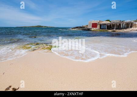 Strand Curt, Colonia de Sant Jordi, Viertel SES Salines, Mallorca, Balearen, Spanien Stockfoto