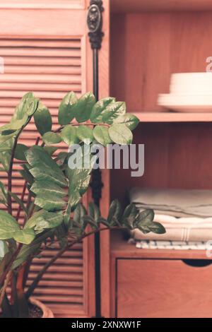 Küche Retro-Stil Schrank mit Geschirr wie Teller, Tischdecken, Vasen und Gläser Stockfoto