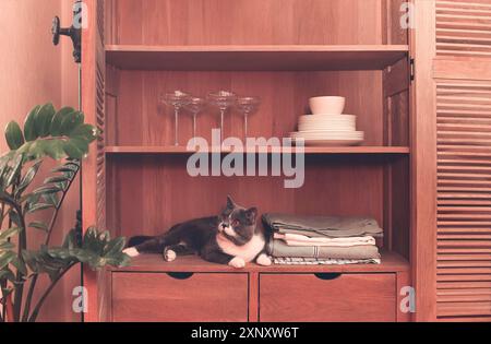 Küche Retro-Stil Schrank mit Geschirr wie Teller, Tischdecken, Vasen und Gläser Stockfoto