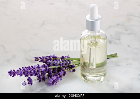 Lavendel ätherisches Öl in Glasflasche auf Marmor tisch. Platz kopieren Stockfoto