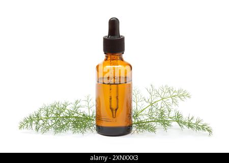 Ätherisches Fenchel Öl auf weißem Hintergrund. Foeniculum vulgare Öl für die Hautpflege, Aromatherapie und Naturheilkunde Stockfoto