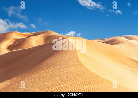 Die schöne Omani Rub al-Chali Wüste im Sommer Stockfoto