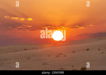 Sonnenuntergang in der wunderschönen Omani Rub al-Chali Wüste Stockfoto