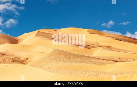 Offroad Jeep Safari in der schönen Omani Rub al-Chali Wüste Stockfoto