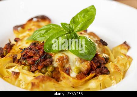 Tagliatelle mit Käse auf dem Teller gebacken Stockfoto