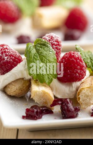 Himbeer Tiramisu auf einem Teller Stockfoto