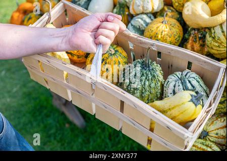 Weißer männlicher Kunde mit Holzkorb, der verschiedene Zierrippen kauft, Nahaufnahme Stockfoto