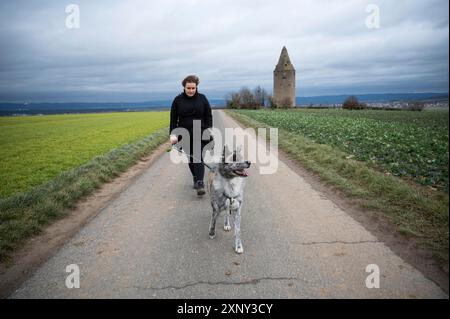 Eine Frau mit braunem lockigem Haar und schwarzem Mantel führt ihren akita inu Hund mit grauem Fell vor dem wartturm in schaafheim an bewölkten Tagen aus Stockfoto