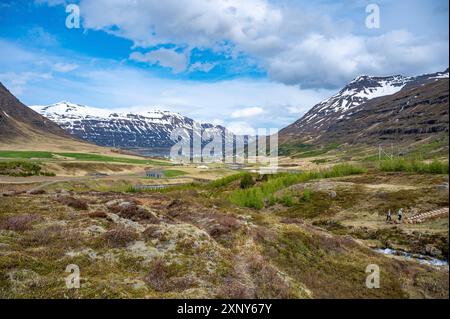 Wunderschöne natürliche Landschaft mit Wiesen und Schneebergen in Seydisfjordur, Island, Stadtlandschaft mit Kreuzfahrtschiff auf dem Fjord, Weitwinkelaufnahme Stockfoto