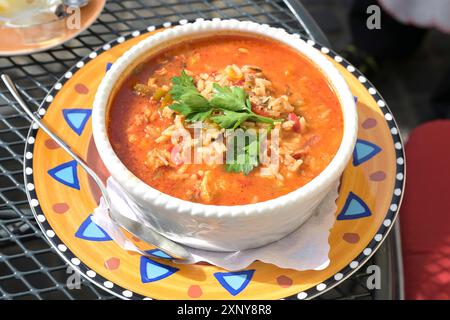 Ein-Topf-Jambalaya-Suppe mit Huhn, Garnelen, Wurst, Gemüse und Reis, kreolisches Gericht in einer Schüssel auf einem bunten Teller, ausgewählter Fokus Stockfoto