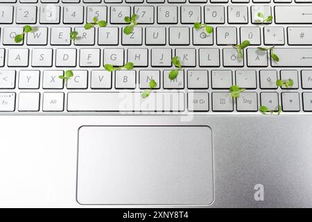 Laptop-Tastatur mit kleinen Sämlingen, die in den Lücken aufwachsen, grünes Geschäftskonzept, Symbol für umweltfreundliche und nachhaltige Wirtschaft, Kopierraum, oben Stockfoto