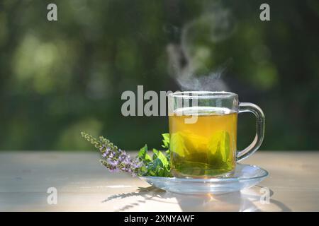 Dampfender Kräutertee aus frischen Pfefferminzblättern in einer Glasschale, daneben liegen blühende Zweige auf einem Holztisch im Garten, dunkelgrün Stockfoto