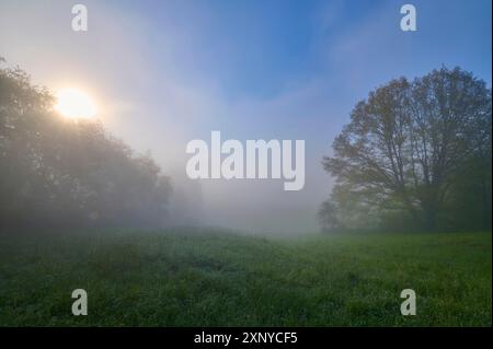 Ein nebeliges Feld am frühen Morgen mit Bäumen und aufgehender Sonne, Miltenberg, Spessart, Deutschland Stockfoto