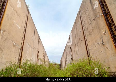 Wüstenneutzsch, Schleusenruine, Deutschland Stockfoto