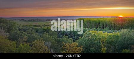 Sommerpanorama über dem grünen Wald mit Sonnenuntergang am Horizont Stockfoto