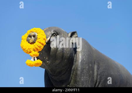 Saha Chat Monument (auch: Pig Monument) ein Monument auf dem Khlong Lot gegenüber dem Wat Ratchabophit, Phra Nakhon District, Bangkok, Thailand Stockfoto