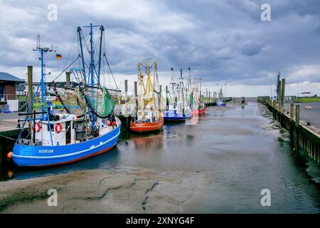 Hafen mit Garnelenbooten bei Ebbe, Dorum-Neufeld, Dorum, Wurster Nordseeküste, Land Wursten, Cuxland, Niedersachsen, Deutschland Stockfoto