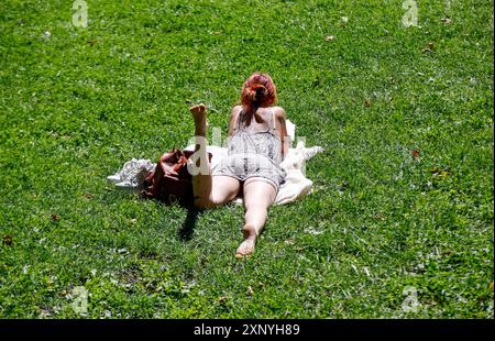 Eine Frau liegt bei Sommertemperaturen auf dem Gras in einem Park und liest ein Buch, Berlin, 30.07.2024, Berlin, Berlin, Berlin, Deutschland Stockfoto