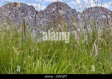 Stillleben zeigt alte, nicht identifizierbare Steingrabmarkierungen, die auf einem alten Friedhof in der englischen Landschaft zwischen hohem Gras sitzen. Stockfoto