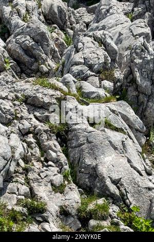 Die vertikale Aufnahme zeigt interessante zerklüftete Felsformationen in den Bayerischen Alpen. Stockfoto
