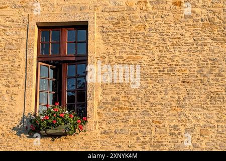 Stillleben zeigt einen Blumenkorb, der vor einem Schlossfenster an einer alten, mittelalterlichen französischen Steinmauer in der Dämmerungssonne hängt. Stockfoto