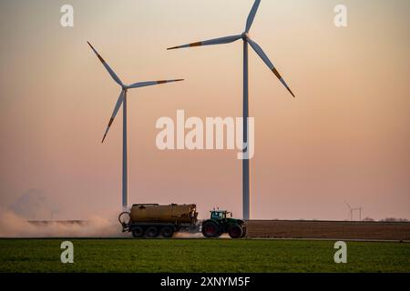 Traktor, der im Frühjahr ein Feld bebaut, Gärrückstände, Restschlamm aus Biogasanlagen, auf Getreidefeldern, Rheinisches Braunkohlebergbaugebiet verteilt Stockfoto