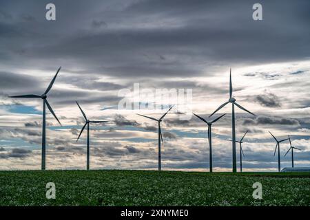 Windpark bei Holzweiler, Stadt Erkelenz, Sturm, Starkwind, Windräder, Nordrhein-Westfalen, Deutschland Stockfoto