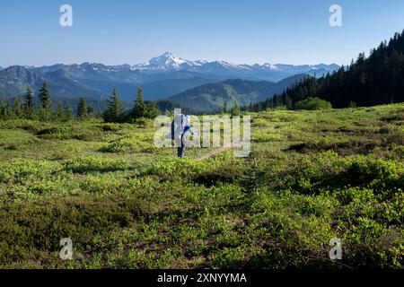 WA24966-00....WASHINGTON - Wanderer auf dem Pacific Creat National Scenic Trail in der Nähe des Grizzly Peak, Henery M Jackson Wilderness, Mount Baker Snoqualmi Stockfoto