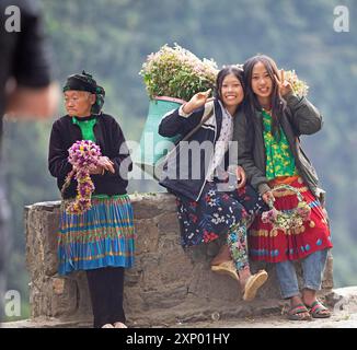 Vietnamesische Frau, die Blumen in den nördlichen Bergen verkauft, Provinz Ha Giang, Vietnam Stockfoto