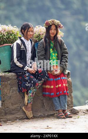 Vietnamesische Frau, die Blumen in den nördlichen Bergen verkauft, Provinz Ha Giang, Vietnam Stockfoto