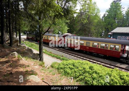 Brockenbahn am Bahnhof Schierke im Nationalpark Harz Stockfoto