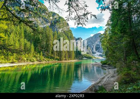 Mystisches grünes Wasser am Pragser See in den italienischen dolomitengalpen im Herbst Stockfoto