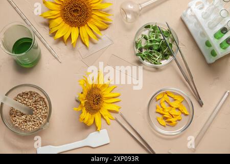 Professionelles Labor gefüllte Glaswaren mit Proben, Sonnenblumen, Sprossen und Samen in Petrischale auf strukturiertem beigem Hintergrund Stockfoto