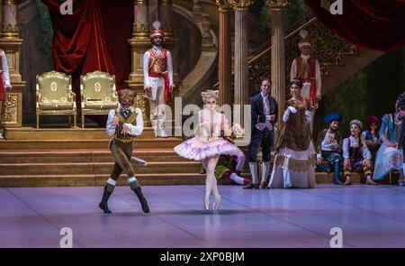 Dornröschen (Berliner Ballett) Stockfoto