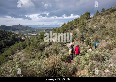 Familienwandern in Puig de Cura, Randa, Algaida, Randa, Algaida, Mallorca, Balearen, Spanien Stockfoto