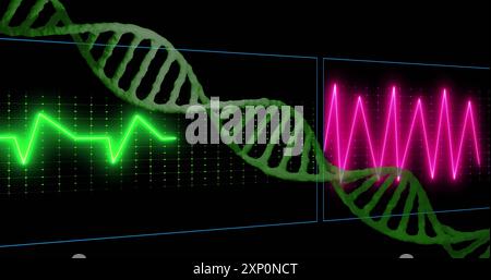 DNA-Strangbild über Herzschlagmonitor mit grünen und roten Linien Stockfoto