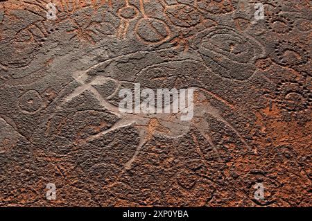 Antike Petroglyphen in Twyfelfontein, einem Ort mit antiken Felsgravuren im Damaraland im Nordwesten Namibias. Dieser Ort wird seit 6.000 Jahren bewohnt, zuerst von Jägern und Sammlern, später von Choikhoi-Hirten. Die Felskunst wurde vermutlich vor über 2.000 Jahren von den lokalen Buschmännern auf ihrer Reise durch die Region geschaffen, um ihre Jagdaktivitäten und Tierbeobachtungen darzustellen. Stockfoto