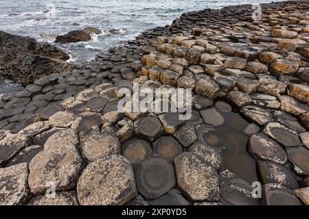 Giant's Causeway in County Antrim, Nordirland, Großbritannien. Dieser große Abschnitt von 40.000 schwarzen Basaltsäulen ist das Ergebnis von gekühlter Lava aus Vulkanausbrüchen, die vor über 50 Millionen Jahren stattfanden. Stockfoto
