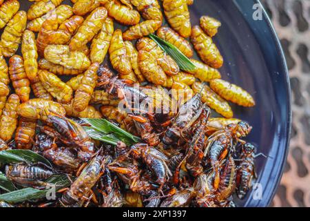 Knusprige Insekten werden auf schwarzen Keramikplatten serviert, die auf Tischen aus Stahlrosten platziert werden, und frittierte Insekten sind ein beliebtes Essen, kombiniert mit alkoholischem Be Stockfoto