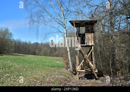 Ein hölzernes Häuschen für Jäger, versteckt in der Krone eines Baumes Stockfoto