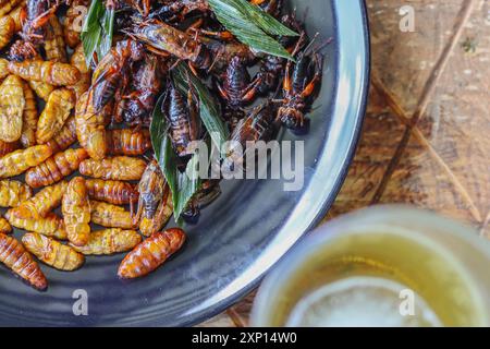 Knusprige Insekten werden auf schwarzen Keramikplatten serviert, die auf Tischen aus Stahlrosten platziert werden, und frittierte Insekten sind ein beliebtes Essen, kombiniert mit alkoholischem Be Stockfoto