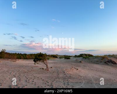 Ruhiger Strand mit Sanddünen, Fußspuren und karger Vegetation vor einem wunderschönen Sonnenuntergangshimmel mit Wolken Stockfoto