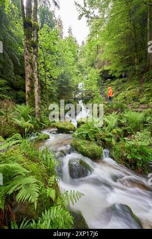 Eine Person in einer orangefarbenen Jacke steht auf einer Brücke mit Blick auf einen Wasserfall, der durch einen üppigen, grünen Wald fließt, und eine ruhige Szene entfaltet sich. Europa, Germa Stockfoto