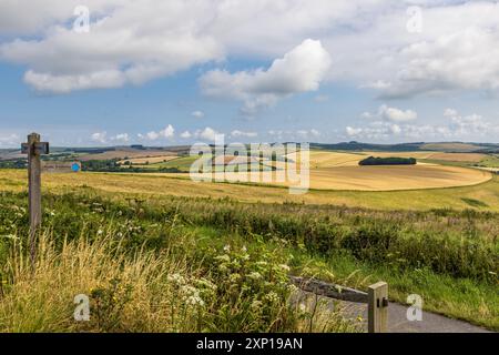 Ein Pfad, der entlang von Ackerland in Sussex verläuft, mit einem hölzernen Wegweiser Stockfoto