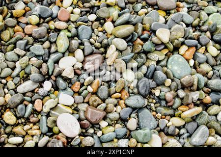 Farbige Kieselsteine am Strand. Hintergrund für nasse Steine. Stockfoto