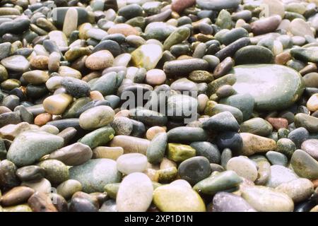 Farbige Kieselsteine am Strand. Hintergrund für nasse Steine. Stockfoto